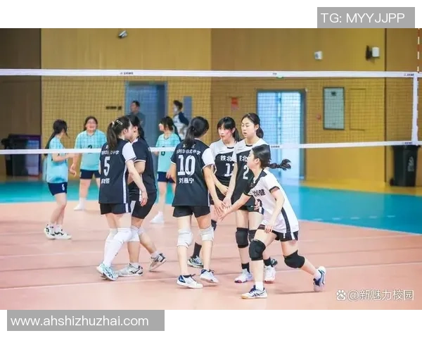 南京排球队在全国排球比赛经验排行榜中荣获第三名的辉煌成就