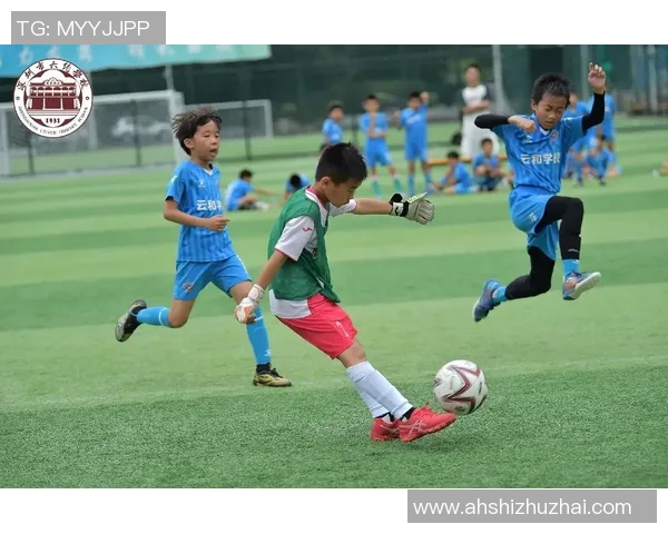 爆硼足球：探索这项新兴运动如何改变传统足球的竞技格局与观赏体验